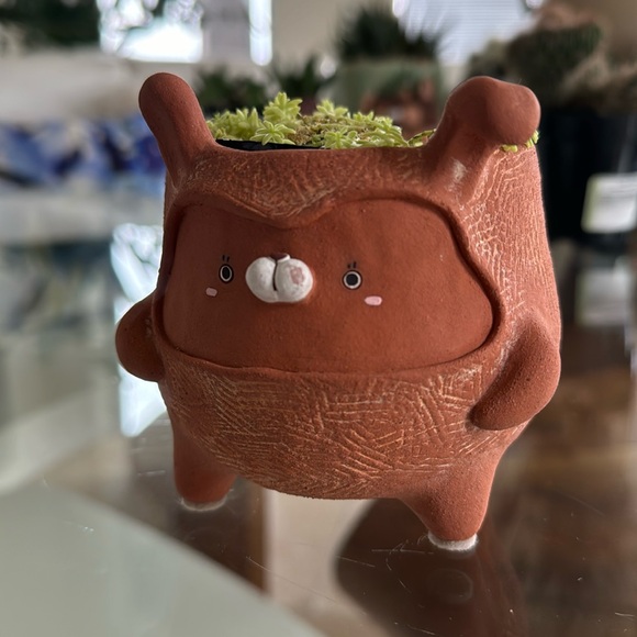 Cute handmade terracotta 🐰 planter with drainage hole. Cactus and succulent pot - Picture 15 of 15